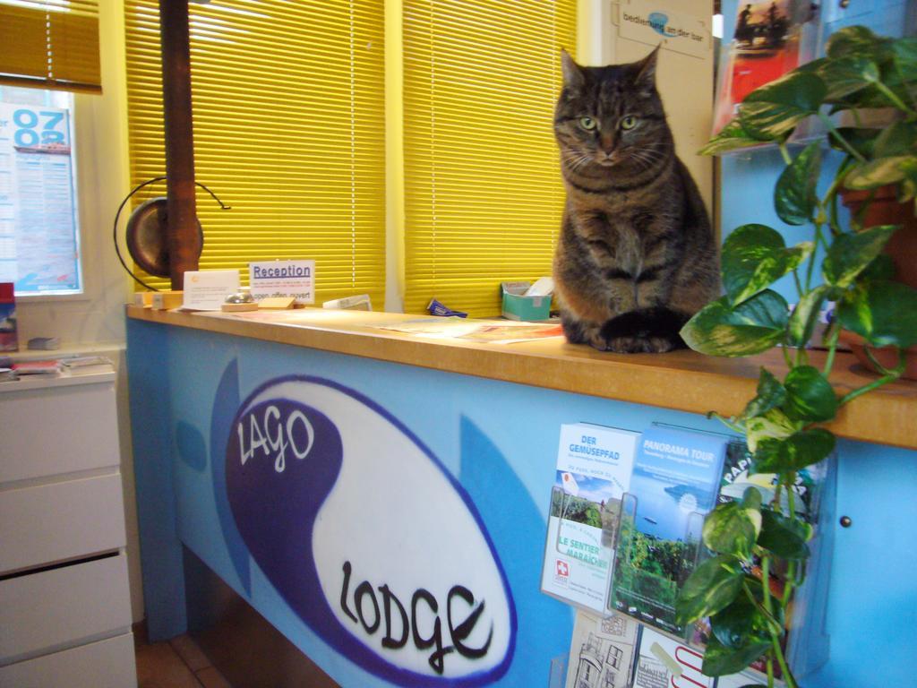 Swiss Hostel Lago Lodge ビール エクステリア 写真